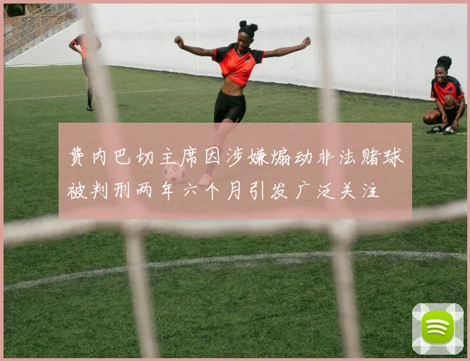 费内巴切主席因涉嫌煽动非法赌球被判刑两年六个月引发广泛关注