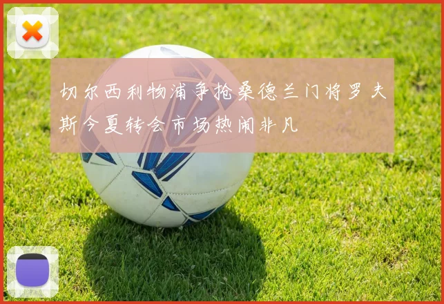 切尔西利物浦争抢桑德兰门将罗夫斯今夏转会市场热闹非凡