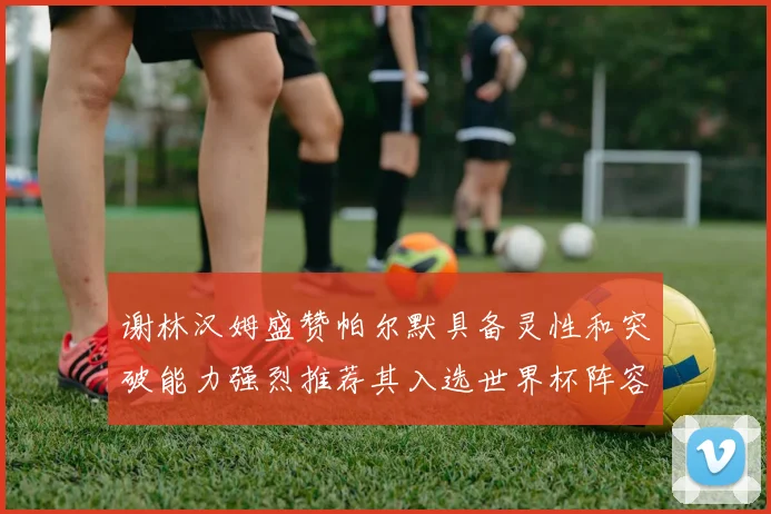 谢林汉姆盛赞帕尔默具备灵性和突破能力强烈推荐其入选世界杯阵容