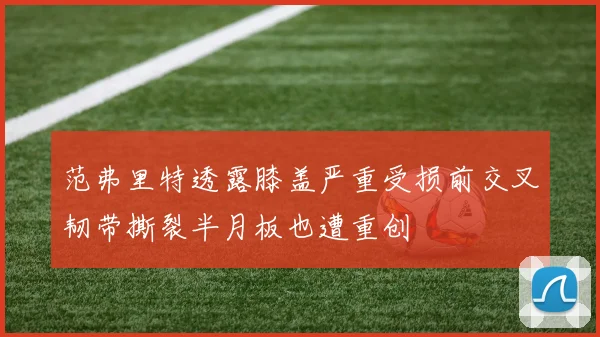 范弗里特透露膝盖严重受损前交叉韧带撕裂半月板也遭重创